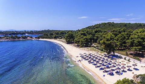 Ранни записвания: 5 нощувки, All Inclusive в хотел Poseidon Resort 4*, Халкидики, Гърция през Септември! Дете до 13.99г. - безплатно!