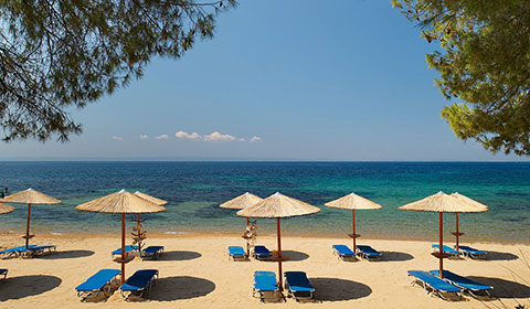 На море в Гърция през Септември! 3 нощувки със закуски и вечери в Blue Dolphin Sargani Hotel 4*, Халкидики!
