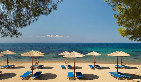 Ранни записвания: 5 нощувки със закуски и вечери в хотел Blue Dolphin Hotel 4*, Халкидики, Гърция през Август и Септември! Дете до 11.99г. - безплатно!